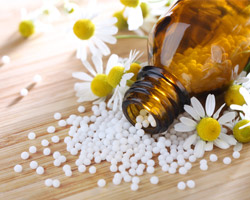 salutao tierheilpraxis homoeopathie kl